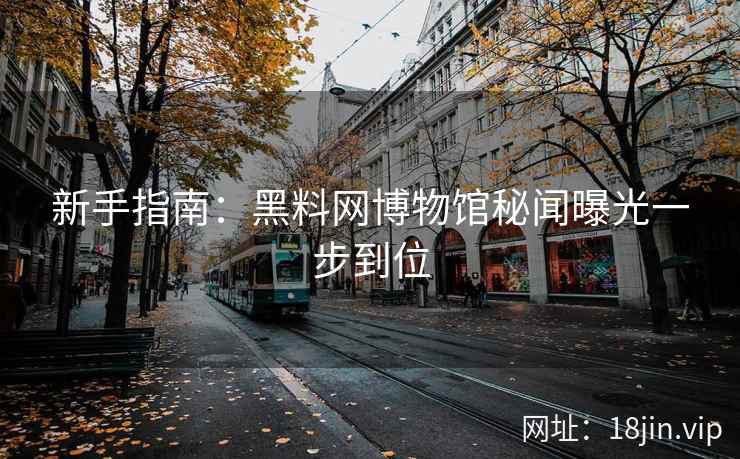 新手指南：黑料网博物馆秘闻曝光一步到位