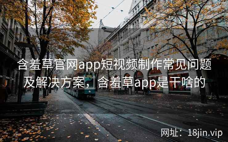 含羞草官网app短视频制作常见问题及解决方案，含羞草app是干啥的