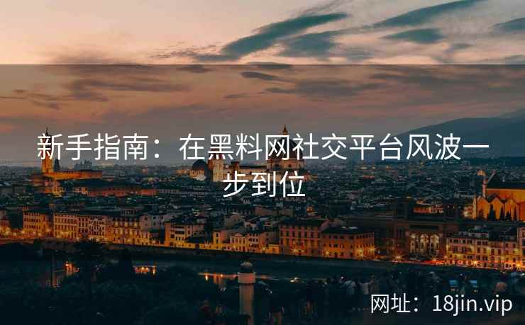 新手指南：在黑料网社交平台风波一步到位